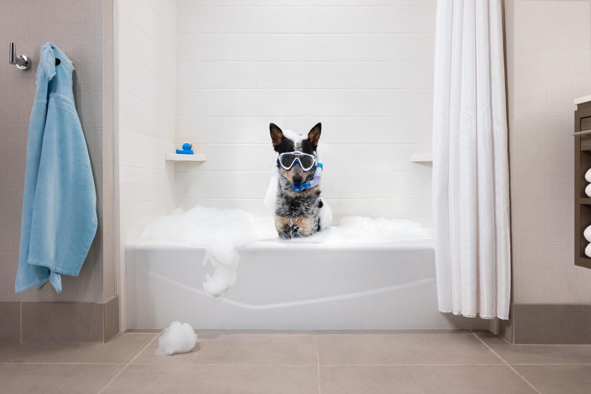 Hotel Home2 By Hilton 3*